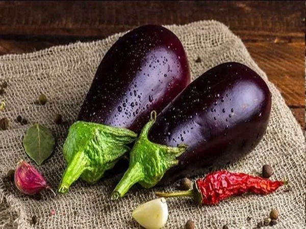 تصویر 1 از قیمت خرید بادمجان لامپی اصفهان با فروش عمده